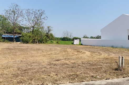 Land for sale in Buak Khang, Chiang Mai