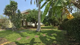 Land for sale in Wang Phong, Prachuap Khiri Khan