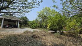 Land for sale in Wang Phong, Prachuap Khiri Khan