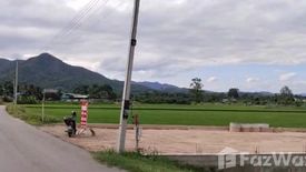Land for sale in Thung Pi, Chiang Mai