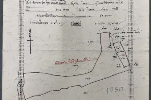Land for sale in Bang Tanot, Ratchaburi