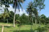 Land for sale in Saphli, Chumphon