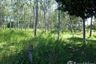 Land for sale in Thep Krasatti, Phuket