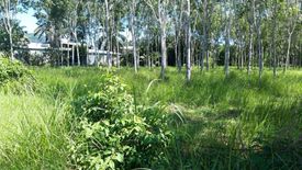 Land for sale in Thep Krasatti, Phuket