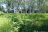 Land for sale in Thep Krasatti, Phuket