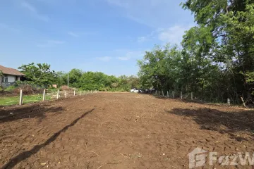 Land for sale in Isan, Buriram