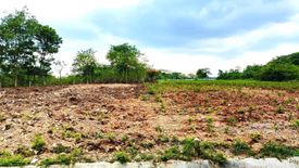 Land for sale in Pak Chong, Nakhon Ratchasima