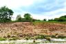 Land for sale in Pak Chong, Nakhon Ratchasima