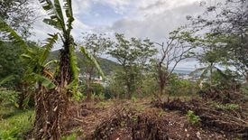 Land for sale in Karon, Phuket