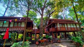 9 Bedroom Hotel / Resort for sale in San Phi Suea, Chiang Mai