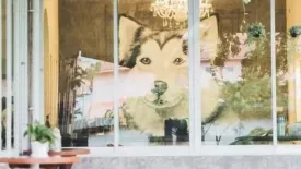 1 Bedroom House for sale in Nong Han, Chiang Mai