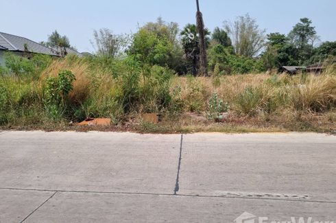 Land for sale in Nong Mai Daeng, Chonburi