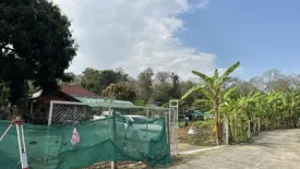 Land for sale in San Sai, Chiang Rai