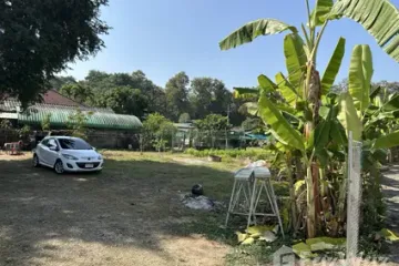 Land for sale in San Sai, Chiang Rai