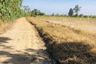 Land for sale in Na Samai, Ubon Ratchathani
