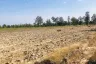Land for sale in Na Samai, Ubon Ratchathani