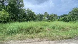 Land for sale in Pak Nakhon, Nakhon Si Thammarat