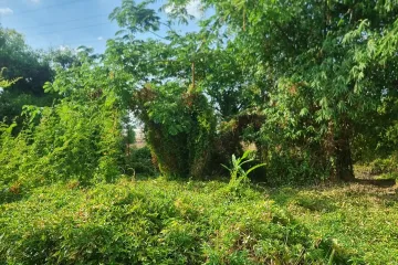 Land for sale in Rai Noi, Ubon Ratchathani
