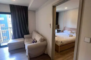 1 Bedroom Condo for rent in THE BASE Sukhumvit 50, Phra Khanong, Bangkok near BTS On Nut