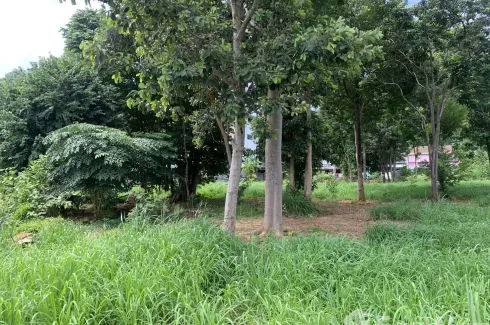 Land for sale in Surasak, Chonburi