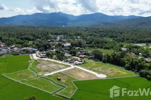 Land for sale in Huai Sai, Chiang Mai