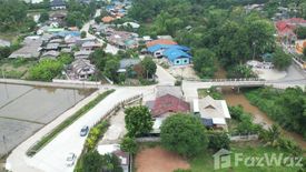 Land for sale in Huai Sai, Chiang Mai