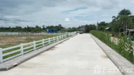 Land for sale in Huai Sai, Chiang Mai