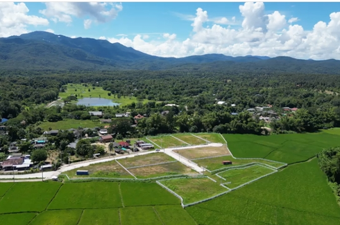 Land for sale in Huai Sai, Chiang Mai