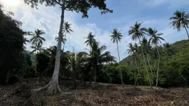 Land for sale in Bo Phut, Surat Thani