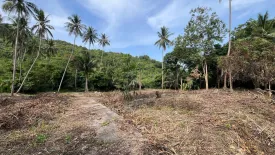 Land for sale in Bo Phut, Surat Thani