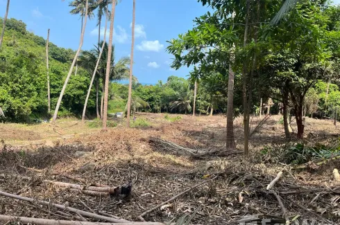 Land for sale in Bo Phut, Surat Thani