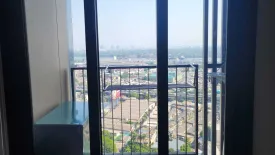 1 Bedroom Condo for rent in OKA HAUS Sukhumvit 36, Khlong Tan, Bangkok near BTS Thong Lo