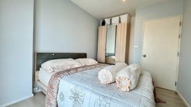 1 Bedroom Condo for rent in Aspire Sukhumvit 48, Phra Khanong, Bangkok near BTS Phra Khanong