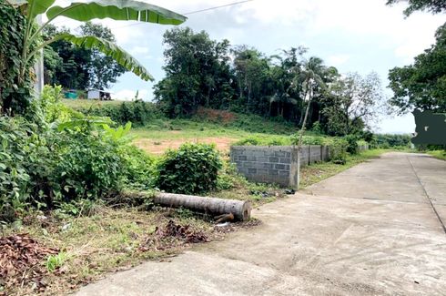 Land for sale in Pa Khlok, Phuket
