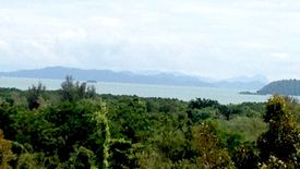 Land for sale in Pa Khlok, Phuket