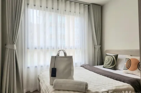 1 Bedroom Condo for rent in dcondo reef, Kathu, Phuket