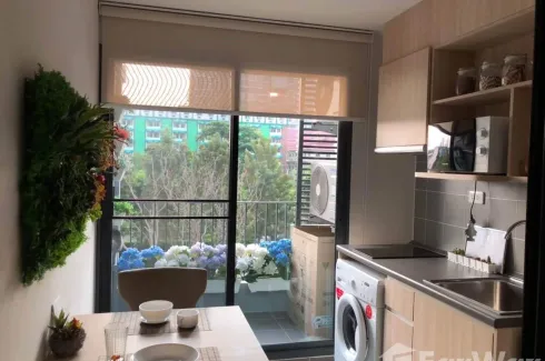1 Bedroom Condo for rent in IDEO O2, Bang Na, Bangkok near BTS Bang Na