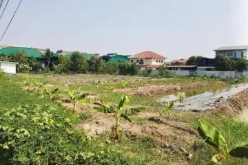 Land for sale in Bang Na, Bangkok