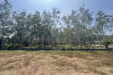 Land for sale in Pa Khlok, Phuket