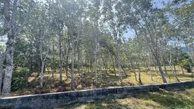 Land for sale in Pa Khlok, Phuket