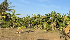 Land for sale in Chalong, Phuket