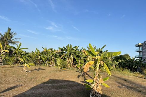 Land for sale in Chalong, Phuket