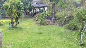 Land for sale in Chom Phu, Chiang Mai