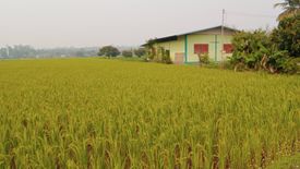 Land for sale in Mae Faek Mai, Chiang Mai