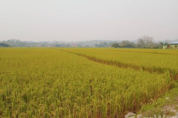 Land for sale in Mae Faek Mai, Chiang Mai