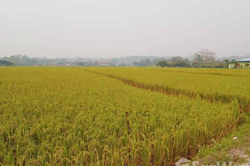 Land for sale in Mae Faek Mai, Chiang Mai