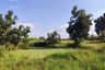 Land for sale in Han Kaeo, Chiang Mai