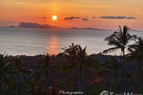 Land for sale in Ang Thong, Surat Thani