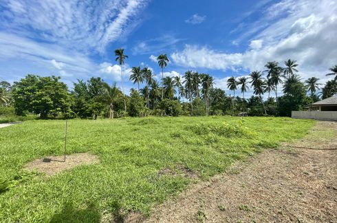 Land for sale in Mae Nam, Surat Thani