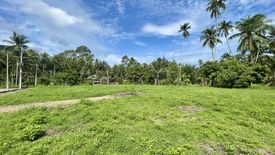 Land for sale in Mae Nam, Surat Thani